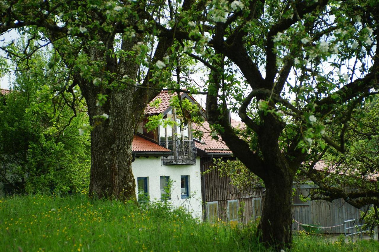 Moosmuehle Allgaeu Untrasried Kültér fotó